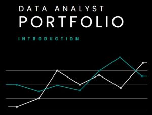 portafolio para analista de datos